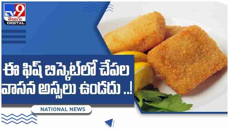 Fish Biscuits: కరోనా రాకుండా రోగనిరోధక శక్తి పెంచుకునేందుకు ఫిష్‌ బిస్కెట్లు .! ( వీడియో )