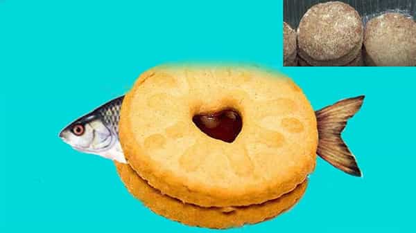 Fish Biscuits: గుడ్న్యూస్.. కరోనా రాకుండా రోగనిరోధక శక్తి పెంచుకునేందుకు ఫిష్ బిస్కెట్లు ..!