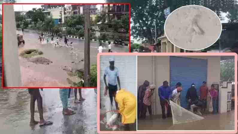 Fish Hunting: వర్షాలకు చెరువులుగా మారిన రహదారులు.. నడిరోడ్డుపై జనం చేపల వేట.. వైరల్ అవుతున్న దృశ్యాలు!