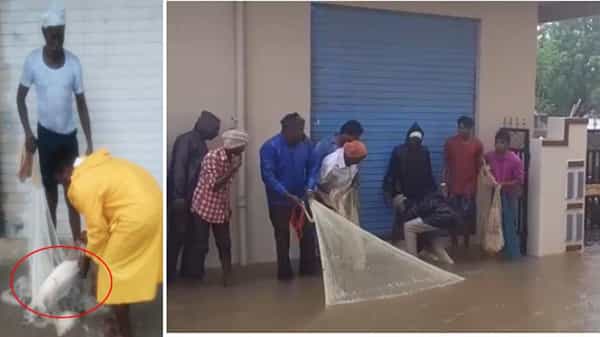 Telangana Rains: వానొచ్చె, వరదలు తెచ్చె.. రోడ్లపైనే చేపల వేట.. ఒక్కోటి కిలోకు పైనే