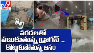 Viral Video: కొండలు సైతం ఎక్కగలిగే చేప గురించి మీకు తెలుసా..?? అయితే ఈ వీడియో తప్పక చూడాల్సిందే..!! వీడియో