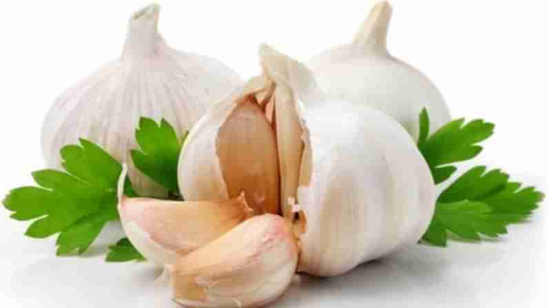 Garlic Farming : వెల్లుల్లి సాగుతో అధిక లాభాలు..! ఇలా చేస్తే మంచి దిగుబడి మీ సొంతం..