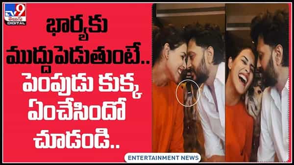 జెనీలియా భర్తకు వింత అనుభవం భార్యకు ముద్దు పెడుతుంటే పెంపుడు కుక్క ఏం చేసిందో చూడండి..:Genelia and Riteish Deshmukh video.