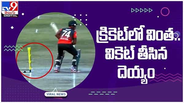Viral Video: జింబాబ్వే- బంగ్లాదేశ్ టీంల మధ్య జరిగిన వింత ఘటన.. వికెట్ తీసిన దెయ్యం... వీడియో