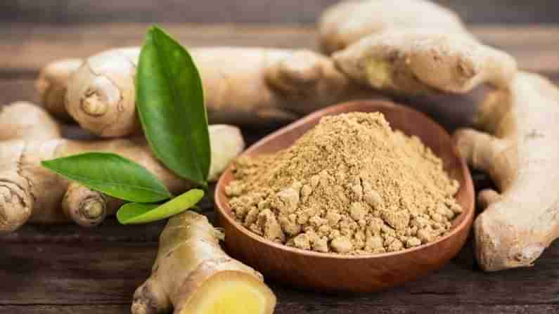 Ginger Benefits : అల్లం వల్ల ఎన్నో ప్రయోజనాలు..! చాలా ఆరోగ్య సమస్యలకు నివారణ.. ఆయుర్వేదంలో దీనికి సాటిలేదు..