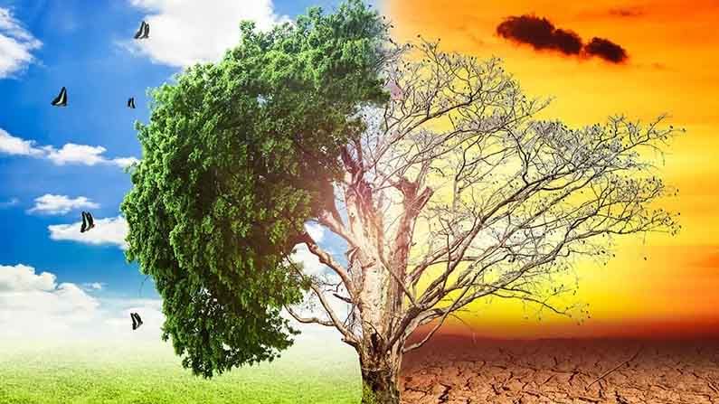 Global Warming: గ్లోబల్ వార్మింగ్ వలన లాభాలూ ఉన్నాయంటున్నారు.. ఏమిటో తెలిస్తే ఆశ్చర్యపోతారు!