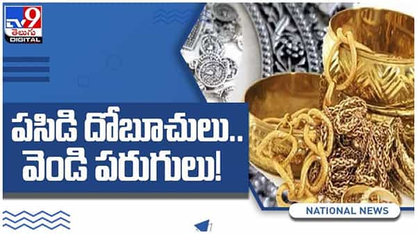 Gold Silver Price: పసిడి దోబూచులు..వెండి పరుగులు... ప్రధాన నగరాల్లో ధరలు ఎలా ఉన్నాయంటే..? ( వీడియో )