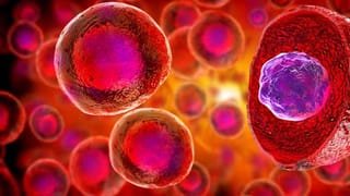 ఏసీల వాడకం వల్ల పెరిగిపోతున్న గ్లోబల్ వార్మింగ్..ప్రస్తుతం ప్రపంచ వ్యాప్తంగా ఎన్ని ఏసీలు ఉన్నాయో తెలుసా?