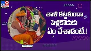 Viral Video: పోట్లాడుకున్న సింహాలు.. అదే ఛాన్స్‌గా జంప్ అయిన గేదె.. వీడియో చూస్తే షాక్ అవ్వాల్సిందే..