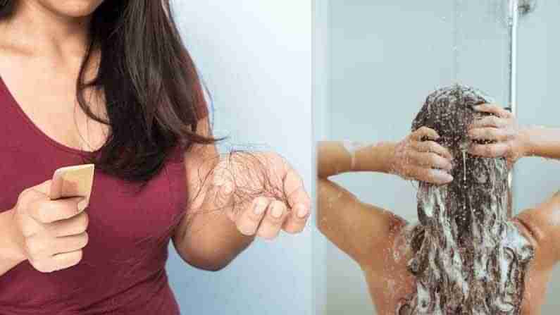 Hair Falling Prevention: జుట్టు ఎక్కువగా రాలిపోతోందా? షాంపూ చేసే విధానం మార్చుకోండి..ఎలాగంటే..
