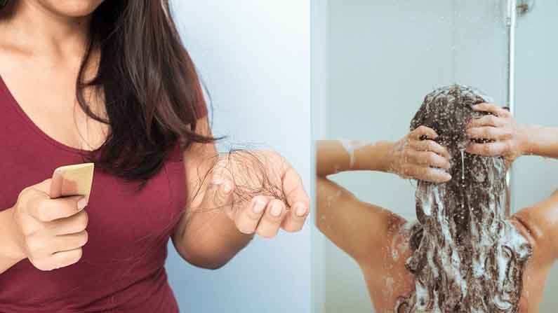 Hair Falling Prevention: జుట్టు ఎక్కువగా రాలిపోతోందా? షాంపూ చేసే విధానం మార్చుకోండి..ఎలాగంటే..