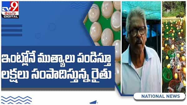 Viral Video: ఇంట్లోనే ముత్యాలు పండిస్తూ లక్షలు సంపాదిస్తున్న రైతు...!! (వీడియో )