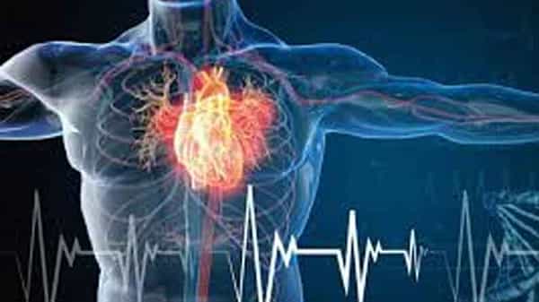 Heart Health: గుండెను పదిలంగా చూసుకోండి.. ఈ ఐదు లక్షణాలు కనిపిస్తే అస్సలు అశ్రద్ధ చేయవద్దు..