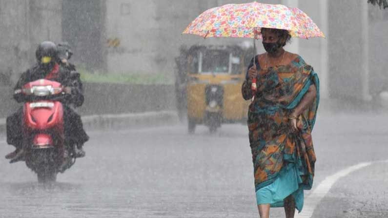 Rain Alert: తెలుగు రాష్ట్రాల్లో తక్కువ ఎత్తులో నైరుతి గాలులు.. ఇవాళ, రేపు మోస్తరు వర్షాలు
