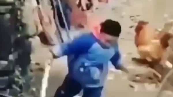 Viral Video: కోడే కదా అని భయపెట్టాలని చూశాడు.. అది బుడ్డోడ్ని 3 చెరువుల నీళ్లు తాగించింది