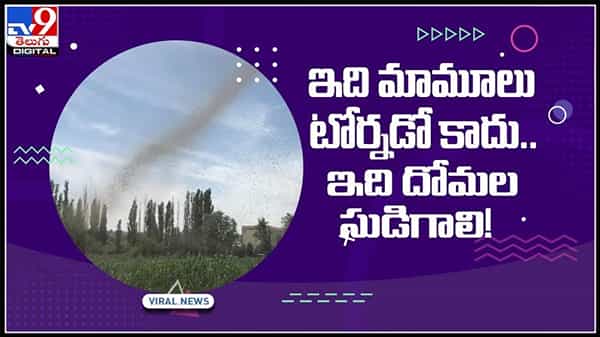 ఇది మాములు టోర్నడో కాదు..ఇది దోమల సుడిగాలి..!వైరల్ అవుతున్న వీడియో..:Mosquito Tornado Video.