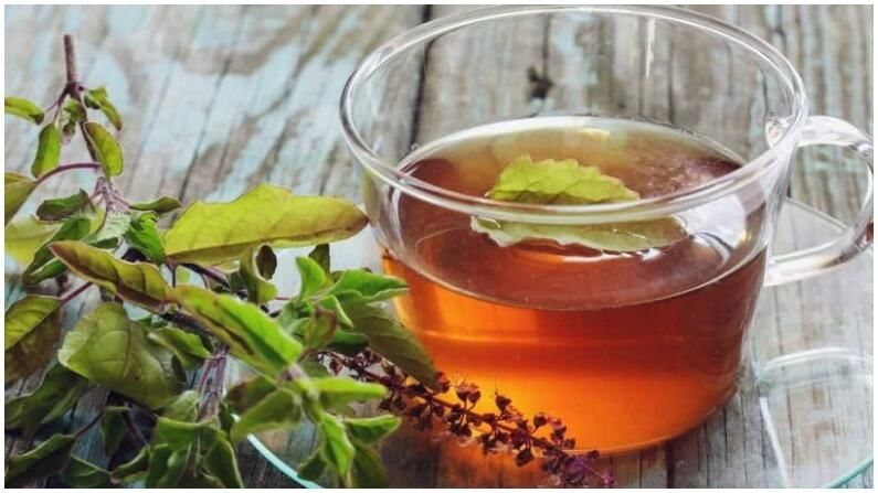 Holy Basil Tea: బరువు తగ్గేందుకు ప్రయత్నిస్తున్నారా..? అయితే మీ డైట్‌లో &#39;తులసి  టీ&#39; చేర్చాల్సిందే.. ! | Health benefits of tulsi tea drink tulsi tea for  weight loss | TV9 Telugu