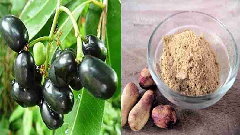 Jamun Seeds: నేరేడు పండు తిని.. గింజలను పడేస్తున్నారా.. అవి షుగర్ కు బెస్ట్ మెడిసిన్ అనే విషయం మీకు తెలుసా