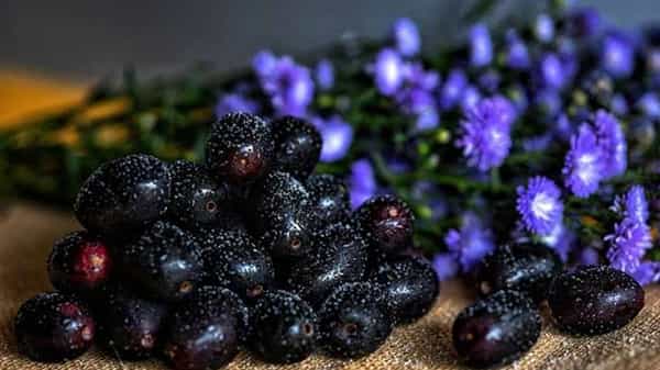 Jamun: నేరేడు పండ్లతో ఎన్ని ప్రయోజనాలు ఉన్నాయో.. ఎక్కువగా తింటే అన్నే ఆరోగ్య సమస్యలూ.. అవేంటో తెలుసా!