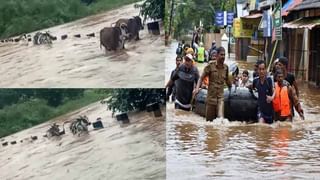 ఆఫ్ఘన్ రాయబారి కూతురి కిడ్నాప్ ఘటన.. పాకిస్తాన్ ఆరోపణపై భారత్ ఖండన