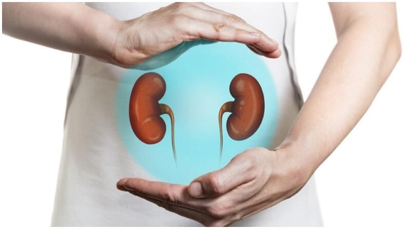 Kidney Detox : ఇంట్లోనే ఈ పద్దతుల ద్వారా మీ మూత్రపిండాలను శుభ్రం చేసుకోండి..