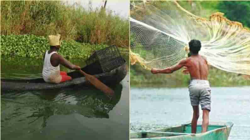 AP News: ఆ మంచినీటి సరస్సులో చనిపోతున్న చేపలు.. ఆందోళనలో గ్రామస్తులు.. అసలు విషయమేంటంటే