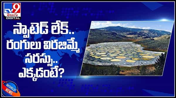 Magic Lake Video:స్పాటెడ్ లేక్..సమ్మర్ లో నీళ్లు ఉండటమే కష్టం అలాంటిది రంగులు విరజిమ్మే సరస్సు...ఎక్కడంటే..?