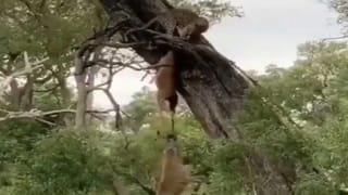 Smart Phone: స్మార్ట్ ఫోన్‌‌‌లో మీ వ్యక్తిగత విషయాలను సేవ్ చేస్తున్నారా? అయితే, జర భద్రం..ఈవిధంగా చేస్తే మీ డాటా సేఫ్!