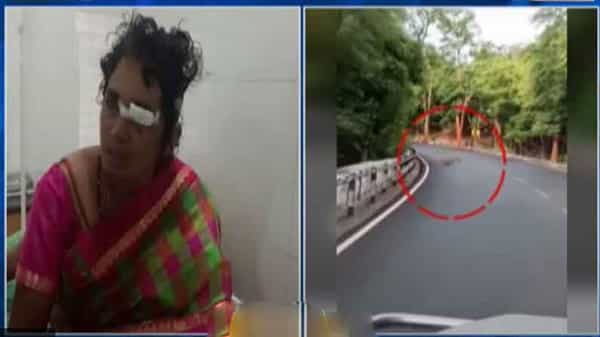 మచ్చలపులి గాండ్రిస్తేనే.. వెన్నులో వణుకు.. ఆకలితో వేటాడటం చూస్తే గుండెలు గుబేల్.. కానీ, ఆ దంపతులను చూసి చిరుత పరార్!