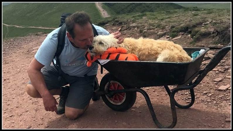 Man Takes Dying Pet Dog To Mountain In Wheelbarrow,london,pet Dog,monty,carlos Fresco,last Journey,man Takes Dying,pet Dog To Mountain,wheelbarrow 2