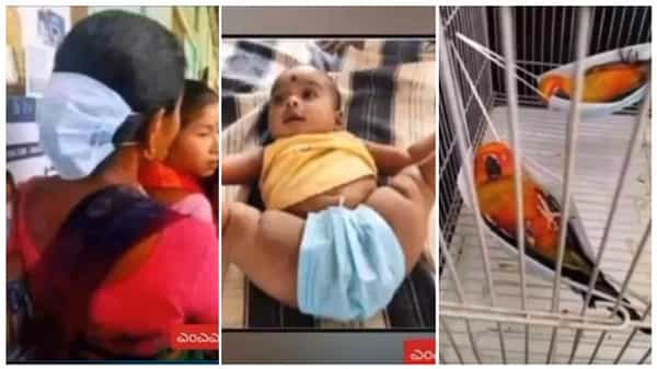 Viral Video: మాస్క్ని ఇలా కూడా ఉపయోగిస్తారా? వీళ్ల తెలివికి హ్యాట్సాఫ్ చెప్పాల్సిందే..!