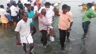 Viral Video: జురాసిక్‌ పార్క్‌లోని చిన్నసైజ్‌ డైనోసార్లను తలపించిన ఉడుములు.. వైరల్‌ గా మారిన వీడియో