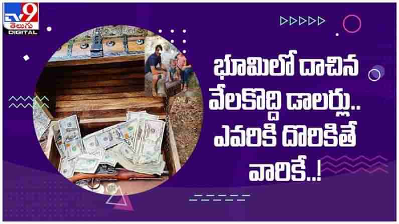 Viral Video: భూమిలో వేలకొద్ది డాలర్లు...!! ఎవరు కనిపెడితే అది వారికే సొంతం... ( వీడియో )