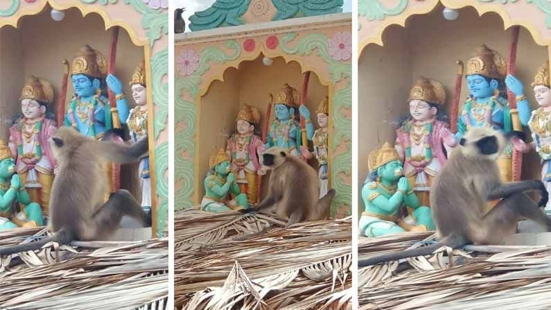 Seetharama Swamy: సీతారామ స్వామి మందిరం వద్ద ఓ అపురూప దృశ్యం.. విగ్రహాల వద్ద వానరం