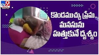 Viral Video: జురాసిక్‌ పార్క్‌ మళ్ళీ మొదలైంది అనిపించేలా చేసిన ఉడుములు…!!