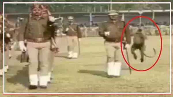 Viral Video: అమ్మో.. ఇదెక్కడి కోతిరా బాబు.. తన్నేసిందిగా.. పరేడ్ గ్రౌండ్స్లో కోతి చేసిన పని..