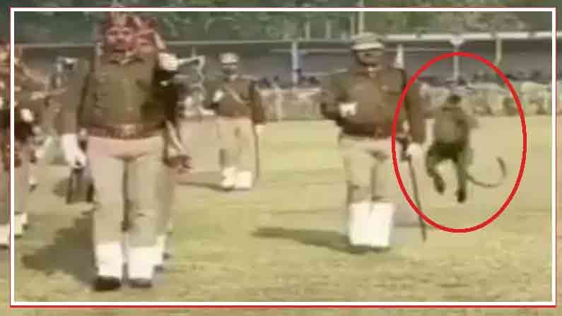 Viral Video: అమ్మో.. ఇదెక్కడి కోతిరా బాబు.. తన్నేసిందిగా.. పరేడ్ గ్రౌండ్స్లో కోతి చేసిన పని..