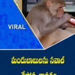 ఈ కోతి ముందు మందుబాబులు బలాదూర్.. వీడియో చూస్తే నవ్వాపుకోలేరు