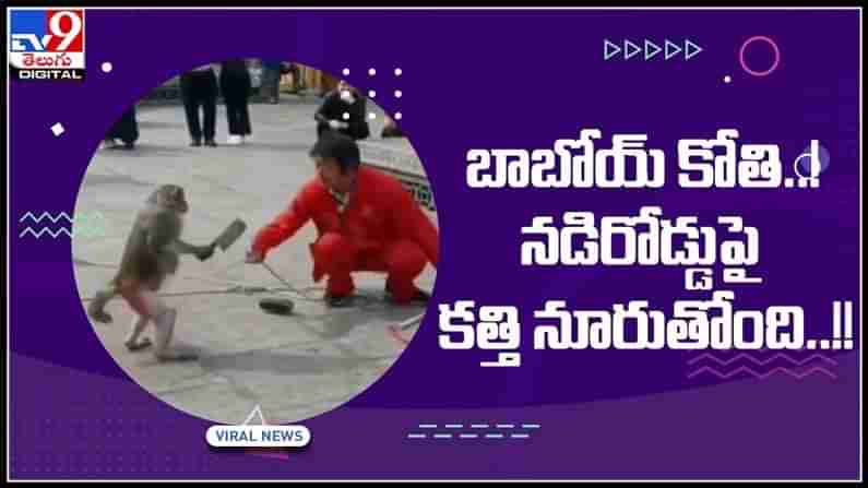 Monkey Viral Video: బాబోయ్ కోతి..! నడిరోడ్డుపై కత్తి నూరుతోంది..!నవ్వులు పూయిస్తున్న వీడియో.