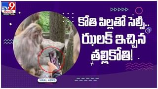 Viral Video: కారు బానెట్‌పై యువకుడు..!! ఐదు కిలోమీటర్లు అదే వేగం..!! వీడియో