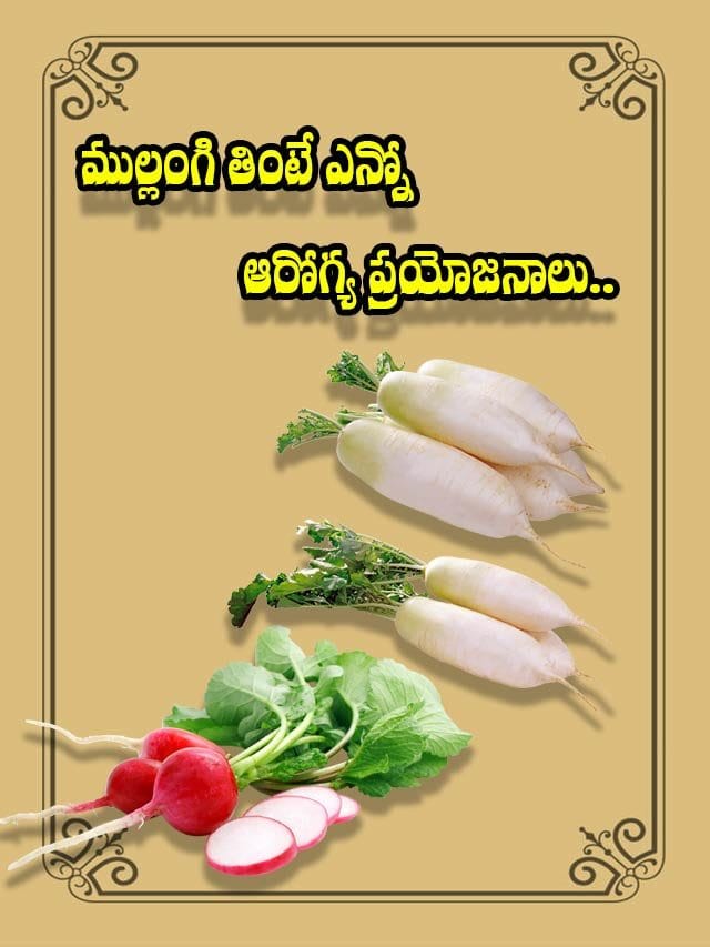 ముల్లంగి తింటే ఎన్నో ఆరోగ్య ప్రయోజనాలు..