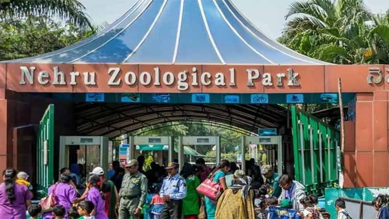 Nehru Zoological Park: నేటి నుంచి తెరుచుకోనున్న జూ పార్కులు.. సందర్శనకు వచ్చే వారి కోసం మార్గదర్శకాలు విడుదల