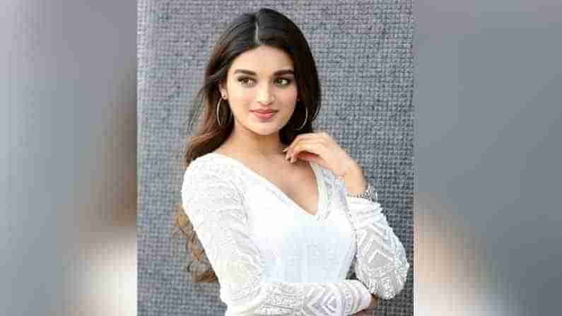 Nidhhi Agerwal: మరీ చీప్‏గా ప్రవర్తించకండి.. నెటిజన్‏లపై ఇస్మార్ట్ బ్యూటీ ఫైర్..