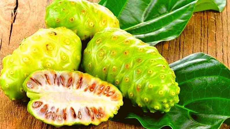 Noni fruit: ఈ అద్భుత ఫలం 100 కంటే ఎక్కువ వ్యాధులను నయం చేయగలదు..