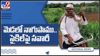 తేలు విషాన్ని చిమ్మడం మీరెప్పుడైనా చూశారా? విషం చిమ్ముతున్న స్లో మోషన్ వైరల్ అవుతున్న వీడియో..:Scorpion video.