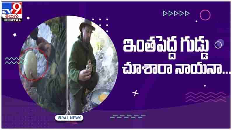 Viral Video: నార్వేలోని ఓ వ్యక్తికి దొరికిన ఆస్ట్రిచ్ గుడ్డు..!! నెట్టింట వీడియో వైరల్