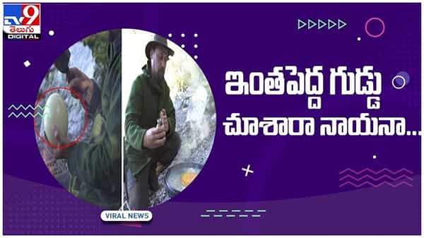 Viral Video: నార్వేలోని ఓ వ్యక్తికి దొరికిన ఆస్ట్రిచ్ గుడ్డు..!! నెట్టింట వీడియో వైరల్