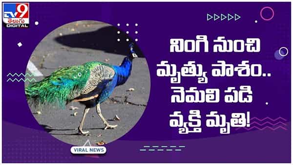 ఆకాశం నుంచి వచ్చిన మృత్యు పాశం..!! ఓ వ్యక్తి మృతి..!! వీడియో