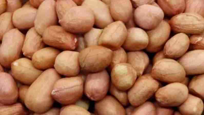 Health Benefits of Peanuts: అధిక బరువుతో బాధపడుతున్నారా..? వేరుశనగల్ని ఇలా తిని చూడండి..!