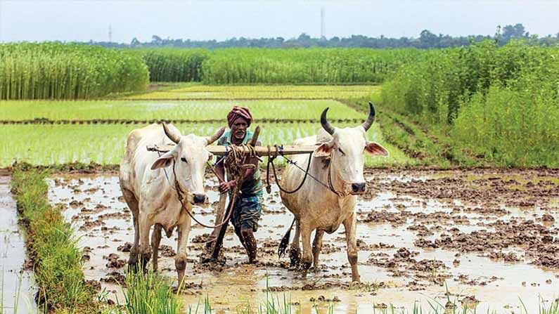 PM Kisan Yojana: రైతులకు గమనిక.. పీఎం కిసాన్ యోజన పథకంలో చేరేందుకు ఏఏ సర్టిఫికెట్స్ కావాలో తెలుసా..